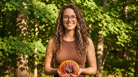 Fascinantul Reishi (Ganoderma lucidum)