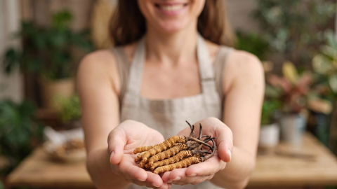 Cordyceps sinensis, cu un ciclu de viață incredibil