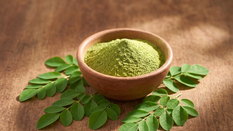 Moringa oleifera